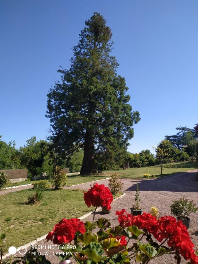 Hotel Le Manoir Sequoia Airvault Zewnętrze zdjęcie